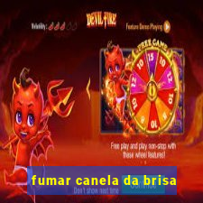 fumar canela da brisa